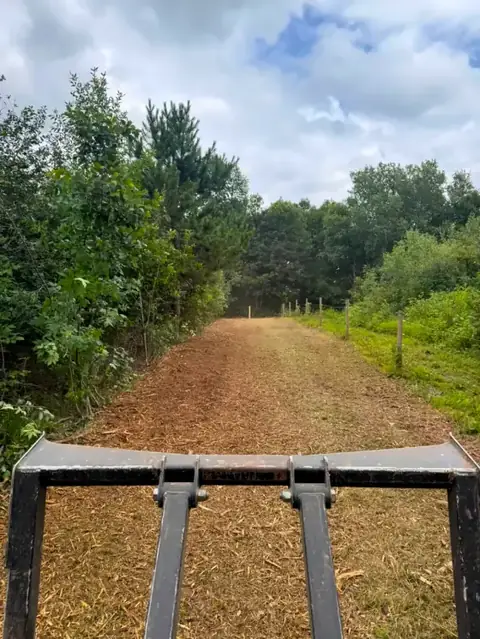 Cleared lane along a new fence line