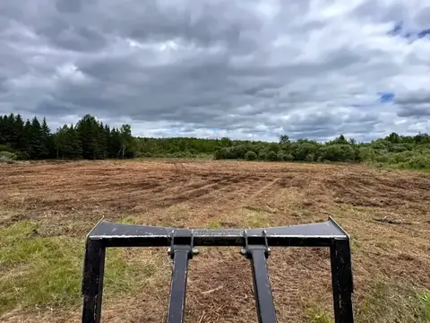 Reclaimed field mulched back to open ground