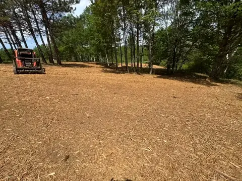 Mulching machine parked on a freshly mulched lot under tall pines