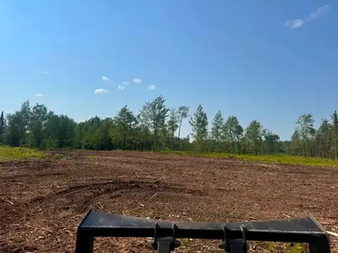 Wide open field cleared and mulched to the tree line