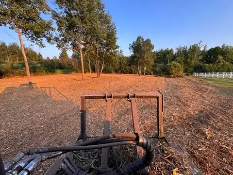 Golden evening light on a freshly mulched yard
